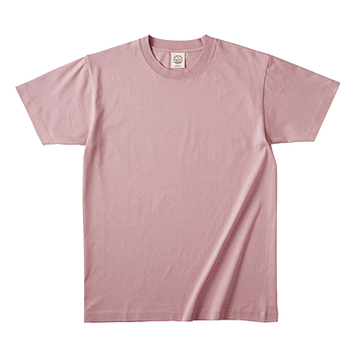 ファヌル Faneuil USオーガニックコットン 両前プリントT F5225506 (2025SS 春夏) TRUSS 5.3oz オーガニックコットンTシャツ | オリジナル TRUSS